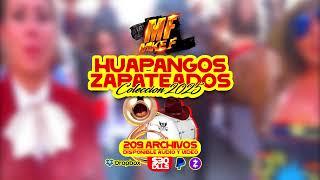 COLECCION HUAPANGOS Y ZAPATEADOS - MIKE F 