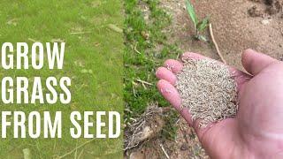 Seeding GRASS with SUCCESS