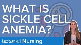 Sickle Cell Anemia Etiology and Pathophysiology | Lecturio Nursing Pediatrics