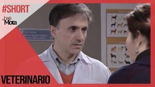 El veterinario | José Mota #Short