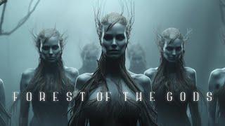 Forest of the Gods - Beautiful Vocal Fantasy Music - Deep Mysterious Atmospheric Music