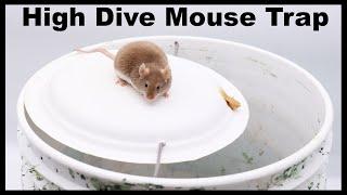 The High Dive Paper Plate DIY Mouse Trap. Mousetrap Monday