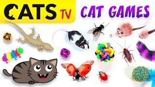 CAT GAMES  50 in 1 Ultimate CATS TV Compilation 🪰 4K 60 FPS [8 HOURS]