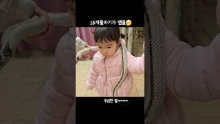 18개월아기가 뱀을🫢 #아빠사랑해 #아빠와딸 #18개월아기 #snake