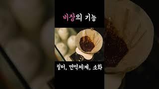 짧은 간호지식 비장 spleen의 역할, 기능을 알아보자