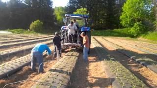 Installation Method of TunnelFlex Hoops with Tractor | Dubois Agrinovation