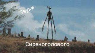 Звуки Сиреноголового