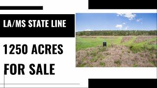 Hunting Land For Sale 1250 Acres Louisiana / Mississippi State Line.