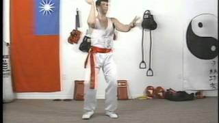 Shaolin Fighting Crane Kung-fu Form with Robert Lyons