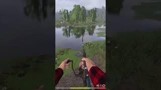 Ловлю ЩУКУ с дерева #рр4 #русскаярыбалка4 #russianfishing4 #utilititox