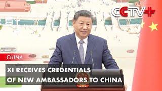 Xi Receives Credentials of New Ambassadors to China