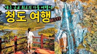 대구 근교 가을 여행지 청도 여행 코스 가볼만한곳 (공암풍벽, 운문사, 대비사, 신지생태공원, 낙대폭포)