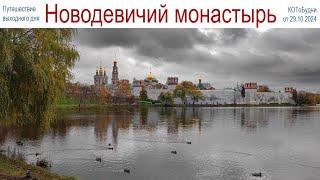 Прогулка по осенней Москве - Новодевичий монастырь или КОТоБудни от 29 октября 2024 г.