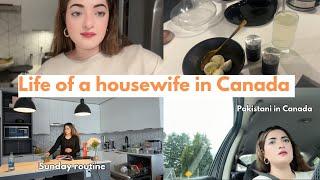 How I Live Alone, Life of a Housewife, Pakistani in Canada 