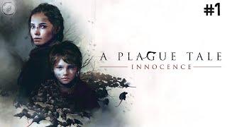 A Plague Tale: Innocence | Parte 1 | Gameplay [No Comentado]