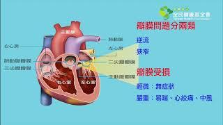 魔鬼阿諾也難逃心疾 淺談心臟瓣膜