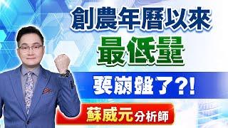 蘇威元分析師【創農年曆以來最低量 要崩盤了？！】 2024.08.22 #蘇威元 #飆股元動力