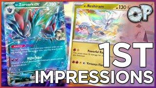 ZORO IS BACK! Owner's Pokemon and TCG Pocket Details Revealed!