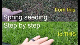 How to GROW GRASS in the SPRING successfully step by step