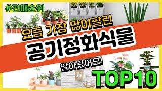 공기정화식물 추천 판매순위 Top10 || 가격 평점 후기 비교0 공기정화식물 동영상