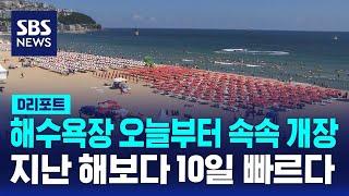 해수욕장 오늘부터 속속 개장…예년보다 열흘 빨라 / SBS / #D리포트