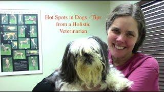 Hot Spots in Dogs - A Holistic Appoach