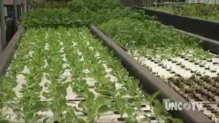 Aquaponics Farming of the Future | Sci NC