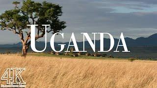 Uganda 4K Ultra HD • Stunning Footage Uganda | Relaxation Film With Calming Music - 4k Videos