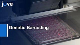 Genetic Barcoding With Fluorescent Proteins For Multiplexed Applications l Protocol Preview