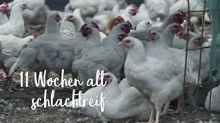 Ökologische Masthähnchen - Aufzucht, Haltung und Nutzung, bioladen*Fleischmanufaktur Bauckhof