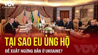 Tại sao châu Âu ca ngợi đề xuất ngừng bắn ở Ukraine, khẳng định “bóng đang ở phía Nga”?