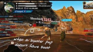 Pov: booster pup doesn't have  boost in PvP || The Wolf