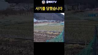 눈뜨고 부동산 사기 당했습니다