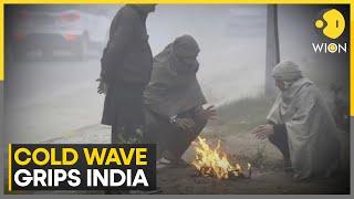 Cold Wave Grips India: Delhi Endures Intense Cold Wave and Dense Fog | World News | WION