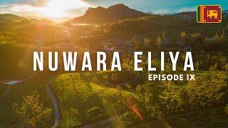 Discover Nuwara Eliya's Best-Kept Secrets: Sri Lanka Travel Vlog