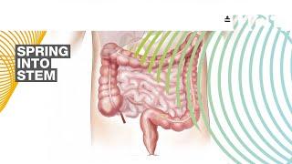 Spring Into STEM | Chemical Engineering in Physiology and Clinical Medicine