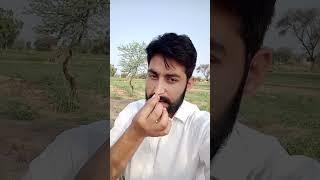 real estate in Pakistan most important information before you go to buy property our motors