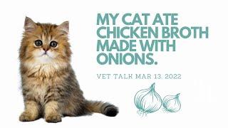 Q) My Cat Ate Onion Broth - Is It Toxic? │ Twin Trees Vet Talk (FREE VET ADVICE PODCAST)