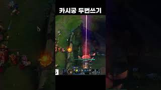 카시 궁 버그