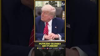 Donald Trump Says Both Putin and Zelensky Are Stubborn | Russia-Ukraine War | WION Shorts