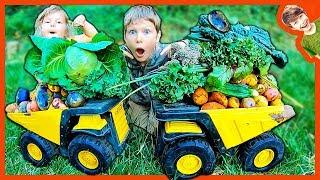 DUMP TRUCK'S BIG ORGANIC GARDEN HARVEST!