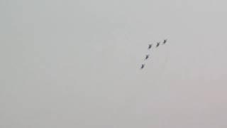 Русские витязи над Бирючем