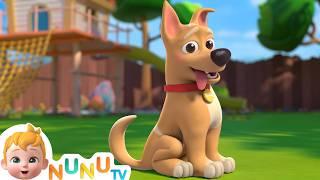 My Dog Song | Bingo | Toddler Songs & Nursery Rhymes | NuNu Tv Kids Songs