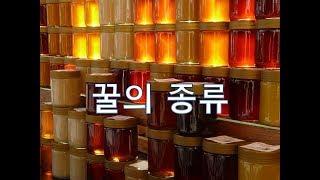 꿀의 종류(토종꿀, 양봉꿀, 숙성꿀, 사양꿀)