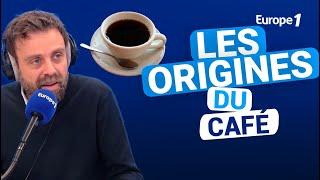 Les origines du café avec David Castello-Lopes