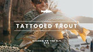 Ozarks on the Fly | EP 3 | TATTOOED TROUT