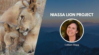 Working with Communities to Protect Lions | Wildlife Conservation Network