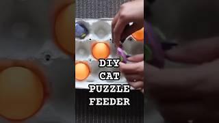 A Cheap & Easy Cat Hack You NEED to Try! 