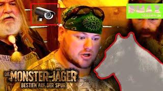 Alarm! Black Wolf auf Kamera? ️ | Die Monsterjäger - Bestien auf der Spur | DMAX Adrenalin