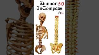 Zimmer InCompass | #medical #animation #3d #short | BiologywithAliya